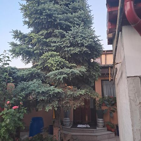 Casa Rusu Apartment Galati  Ngoại thất bức ảnh