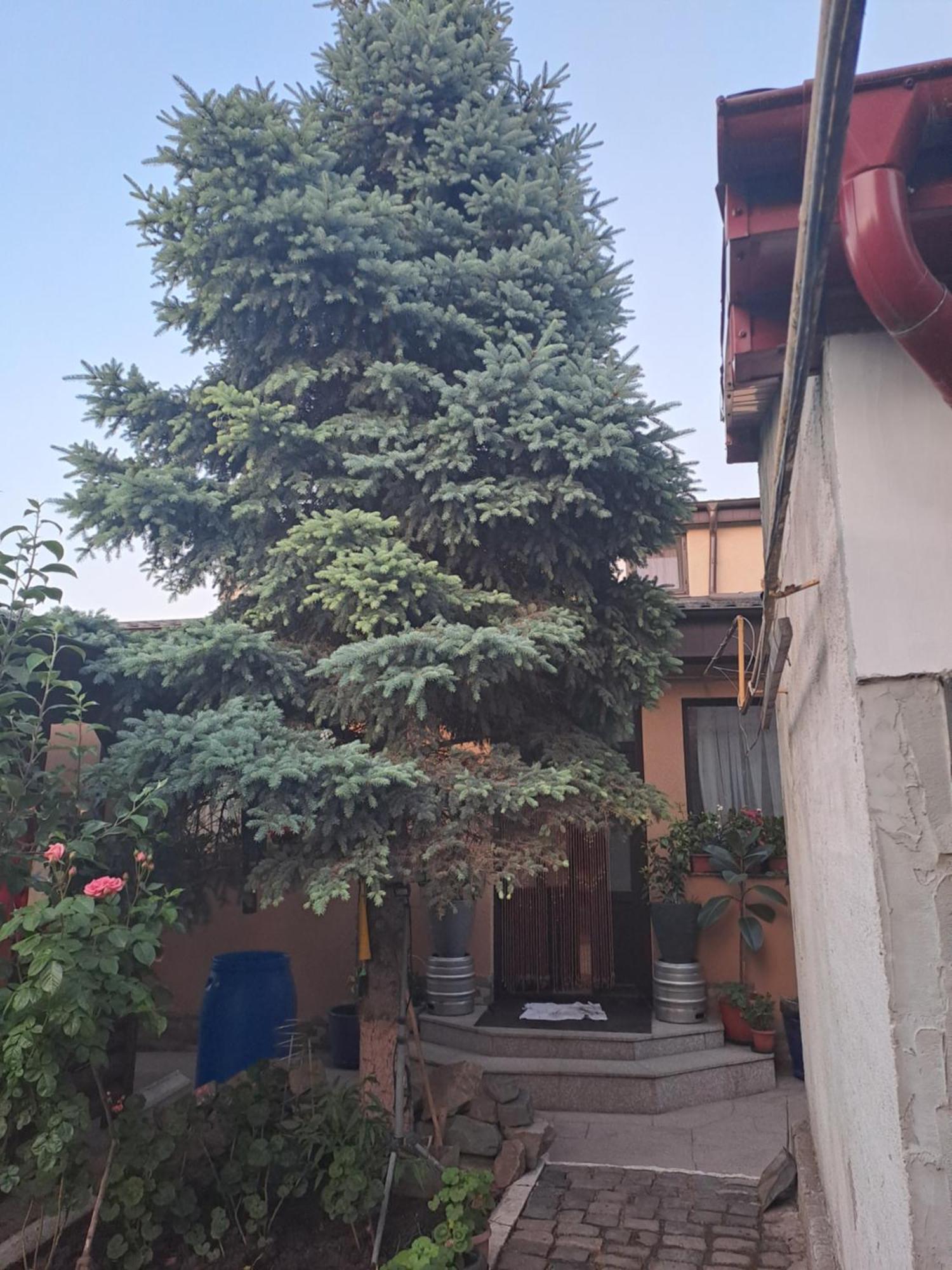 Casa Rusu Apartment Galati  Ngoại thất bức ảnh