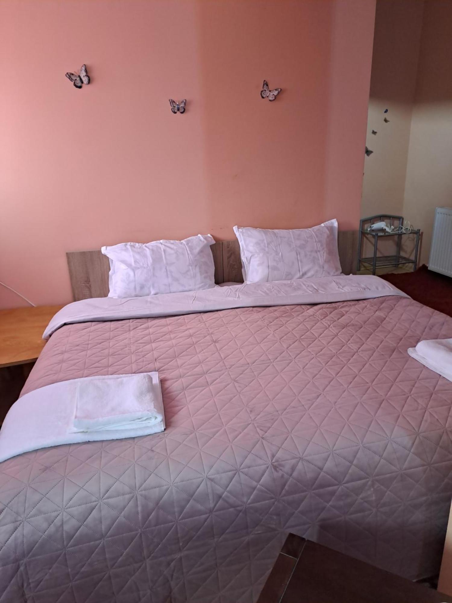 Casa Rusu Apartment Galati  Ngoại thất bức ảnh
